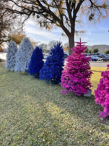 Colorful trees and plants at Texas Home & Garden